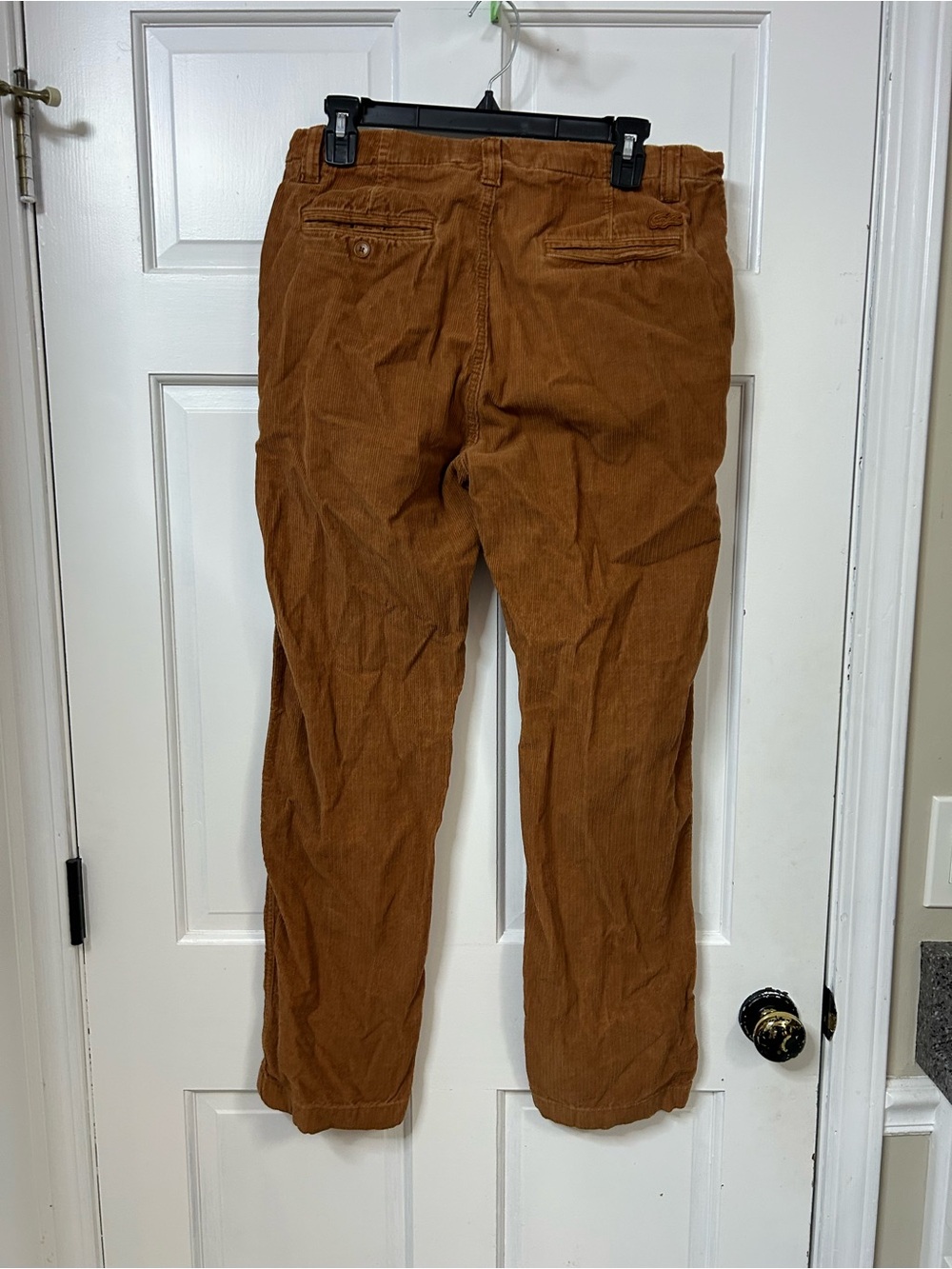 Lacoste Men's Corduroy Pants in Rust - Picture 4 of 4